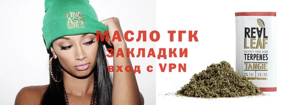 ешки Горняк