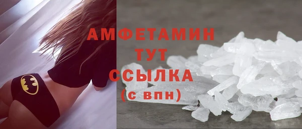 ешки Горняк