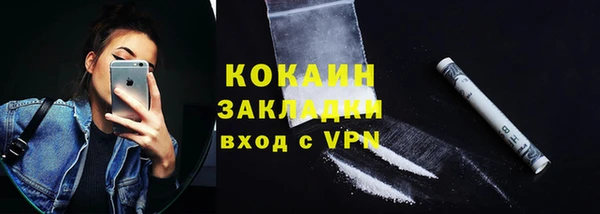 ешки Горняк