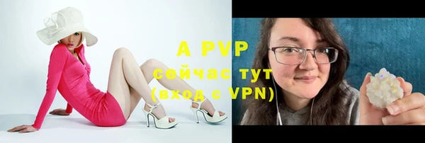 молекула духа Вязьма