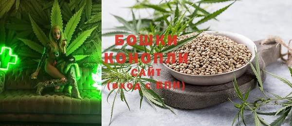 ешки Горняк