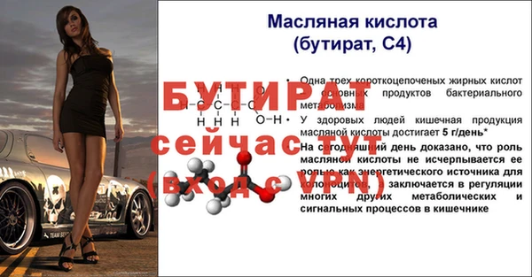ешки Горняк