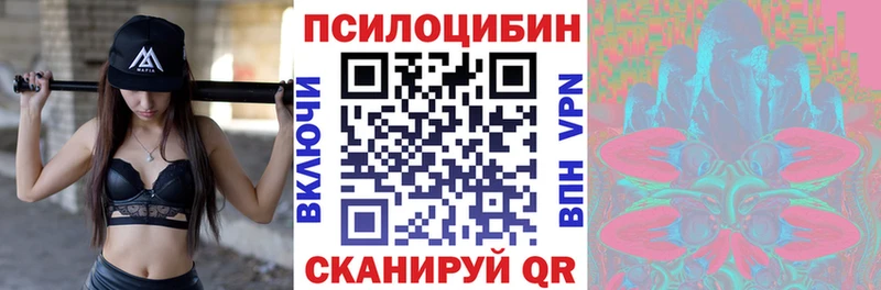 что такое   Мценск  Псилоцибиновые грибы Psilocybine cubensis 